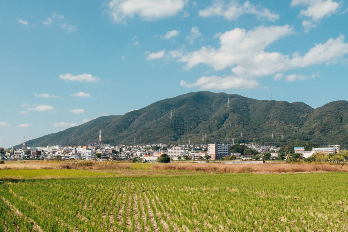 相続土地国庫帰属制度を知りたい